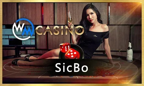 Online Bingo Fun